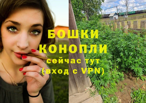 винт Коряжма