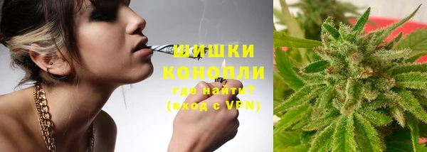 винт Коряжма
