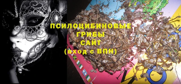 винт Коряжма
