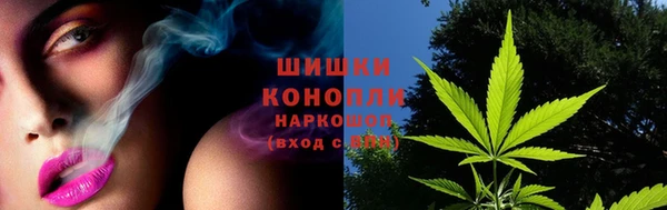 ALPHA PVP Костерёво