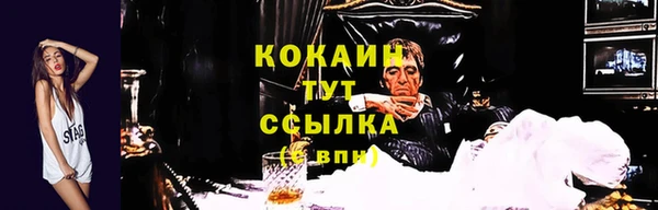 альфа пвп Корсаков