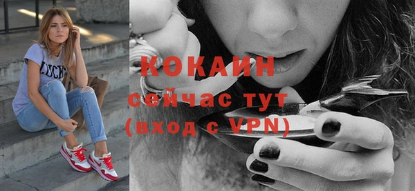 ALPHA PVP Костерёво