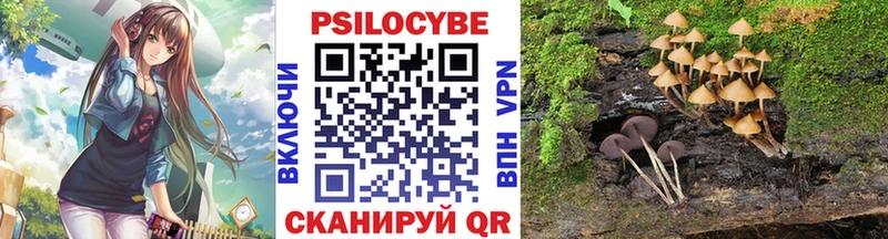 Псилоцибиновые грибы Cubensis  Тбилисская 
